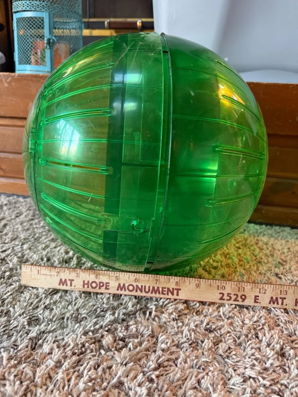 Green Transparent 12” Plastic rabbit-hedgehog-ferret-Guinea pig Exercise Ball